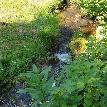 Kurpark-suite * Schonach im Schwarzwald